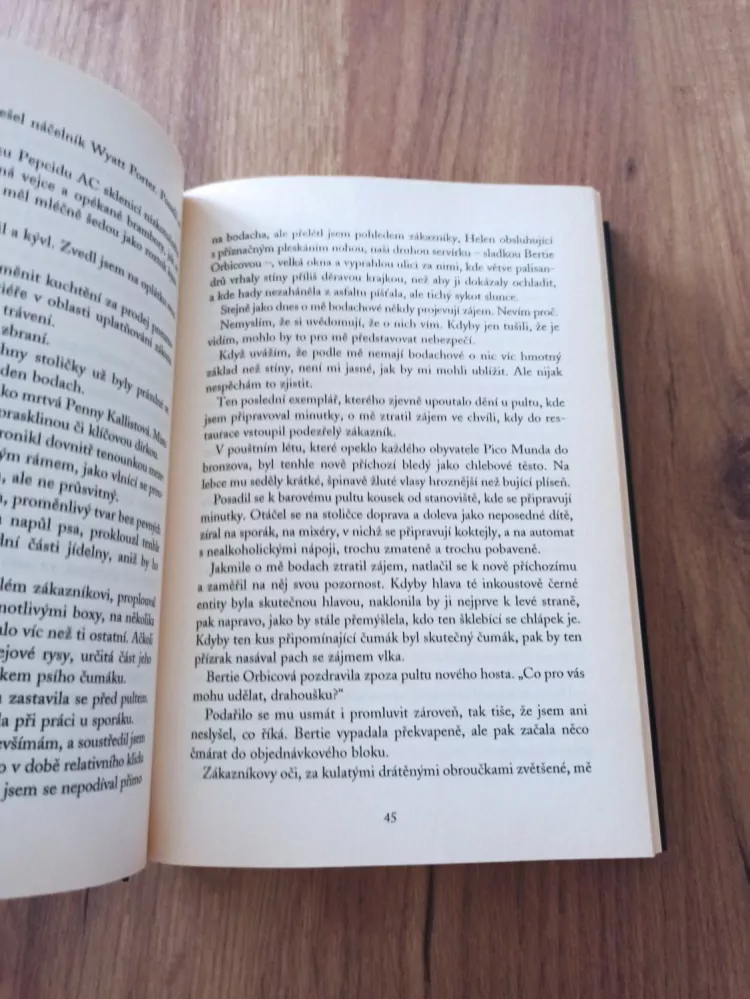 DEAN KOONTZ - Podivný Thomas