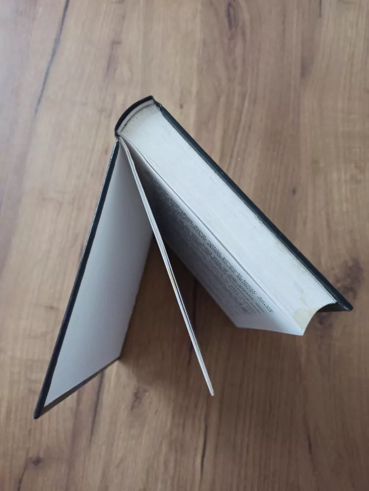 DEAN KOONTZ - Chladný plamen