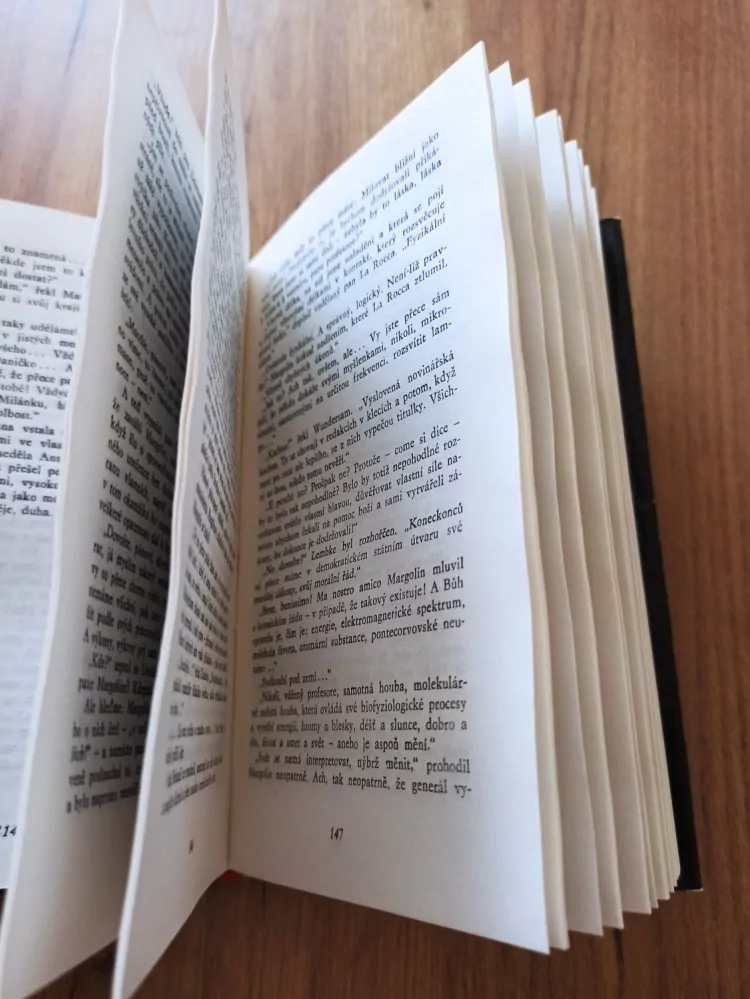 DINAH NELKEN - Z celého srdce