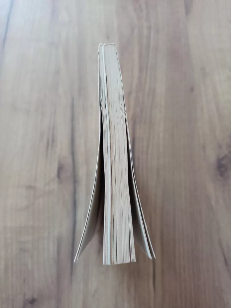 MILOSLAV RYŠÁN - Bonsaj