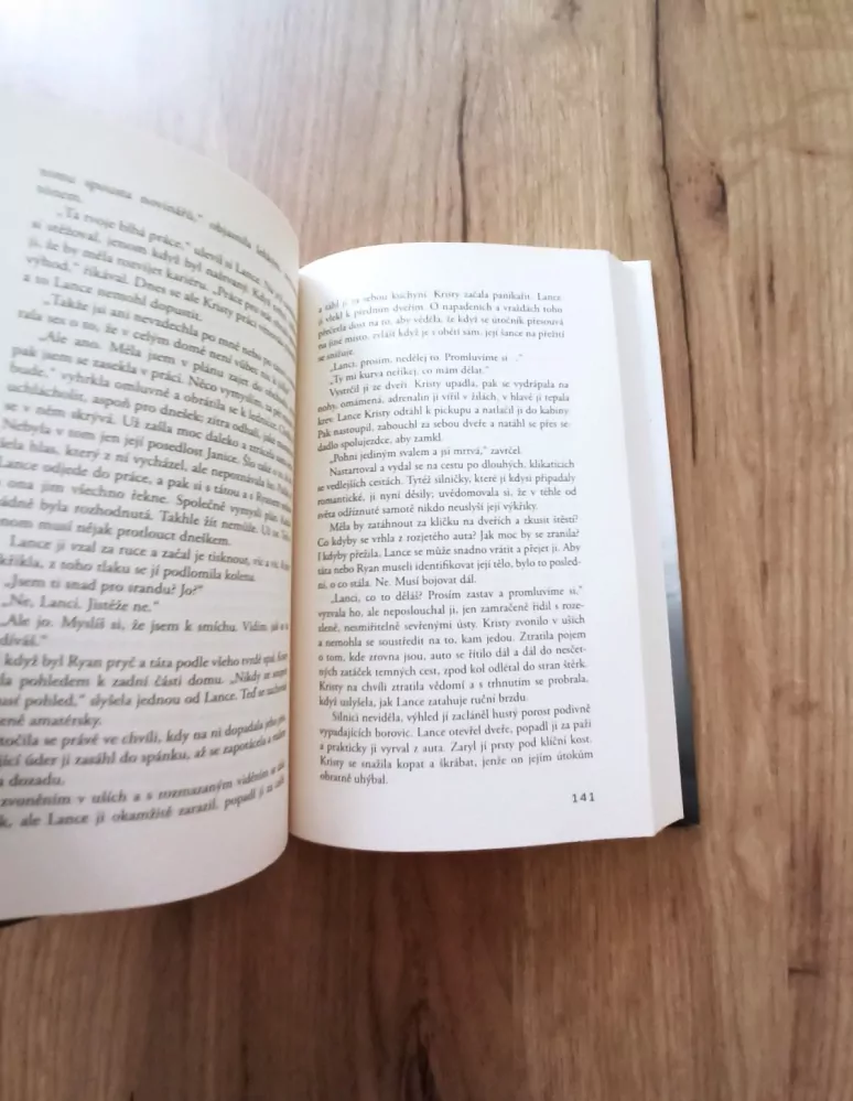 HOLLIE OVERTON - Za zdmi