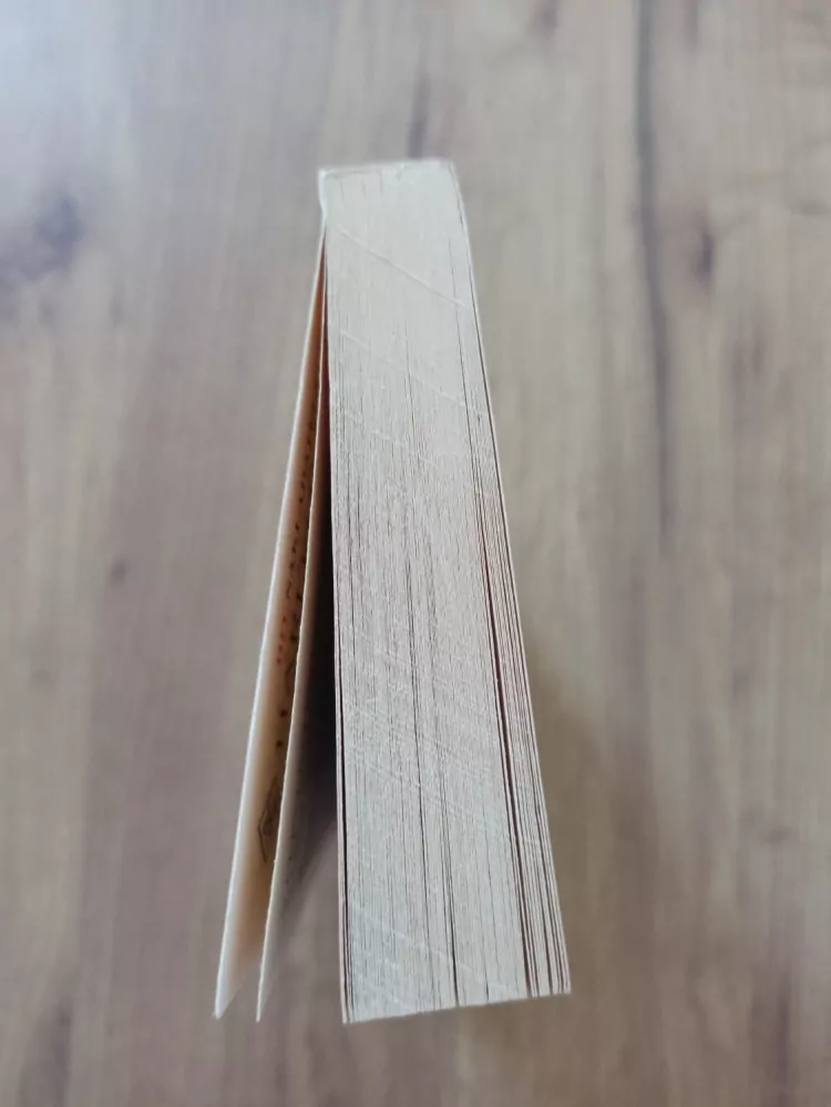 JUDITH ARNOLD - Tajemný cizinec