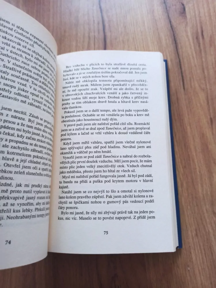 WILBUR SMITH - Oko tygra