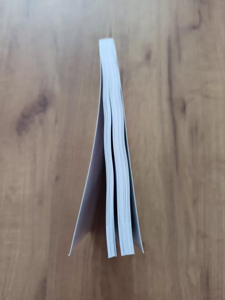 MICHAELA DOMBROVSKÁ, ZUZANA ŠIDLICHOVSKÁ - Informační detox