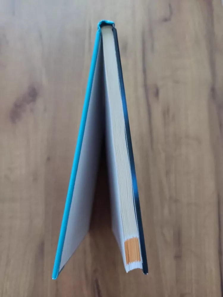 LIBOR VÍTEK - Bilirubin a interní choroby