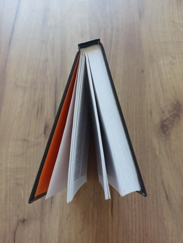 JOHANNES MARIO SIMMEL - Divím se, že jsem tak veselý