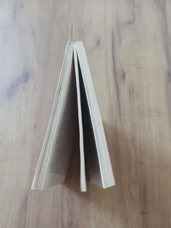 LEV ALEXANDROVIČ BEZYMENSKIJ - Plán Barbarossa