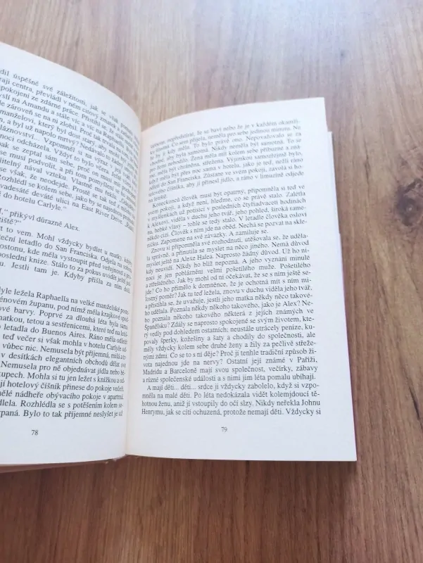 DANIELLE STEEL - Cizí žena