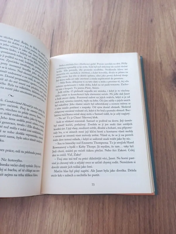 SARAH HALL - Údolí zkázy