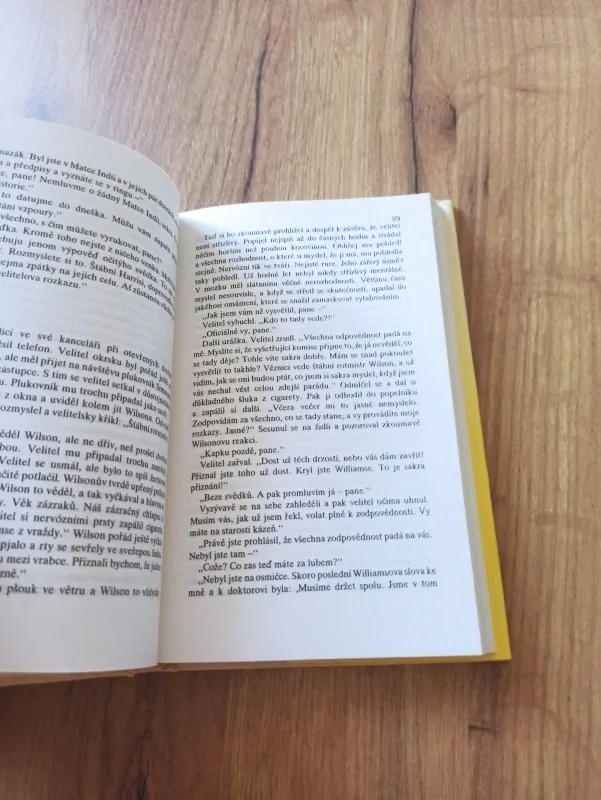 RAY RIGBY - Pahorek z písku