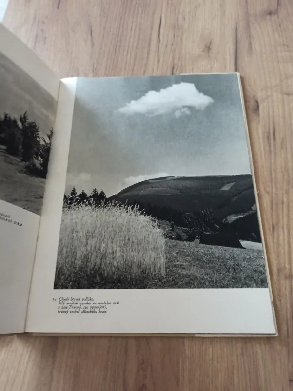 VLADIMÍR SADÍLEK - Ze světa našich hor - Kniha o letní kráse horské přírody