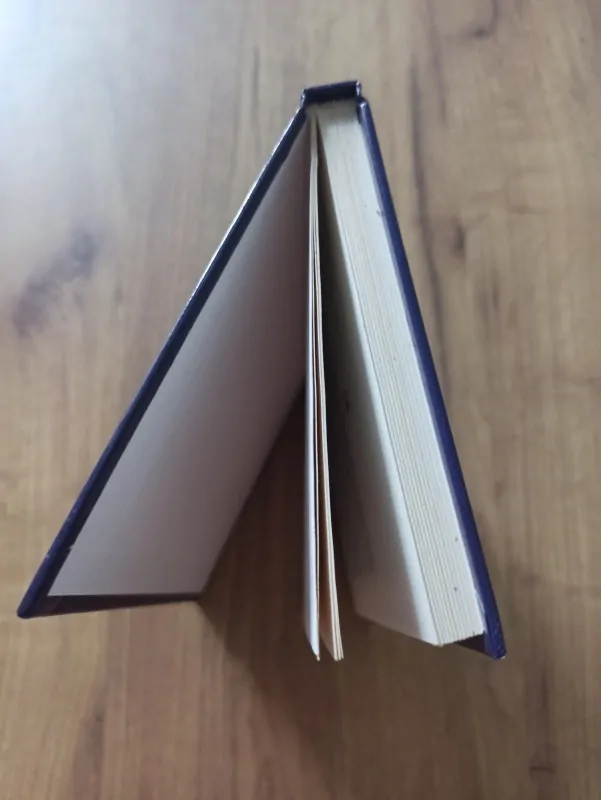 CAROL HIGGINS CLARK - Zádrhel
