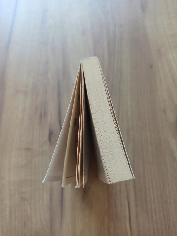 ROBERT ERVIN HOWARD - Conan: Hodina draka