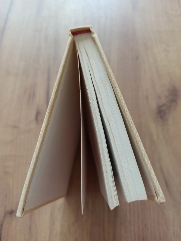 RAY RIGBY - Pahorek z písku