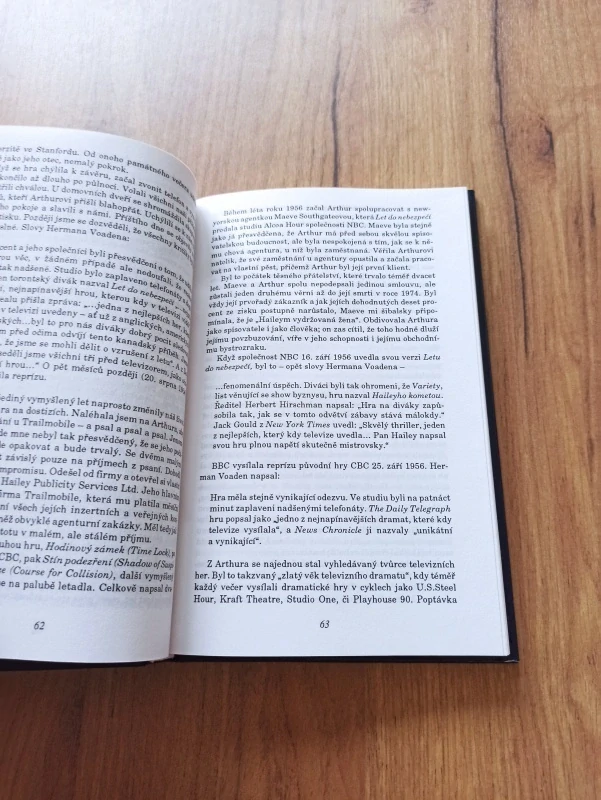 SHEILA HAILEY - Vzala jsem si bestsellera