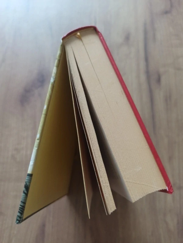 FAY WELDON - Lázeňský dekameron