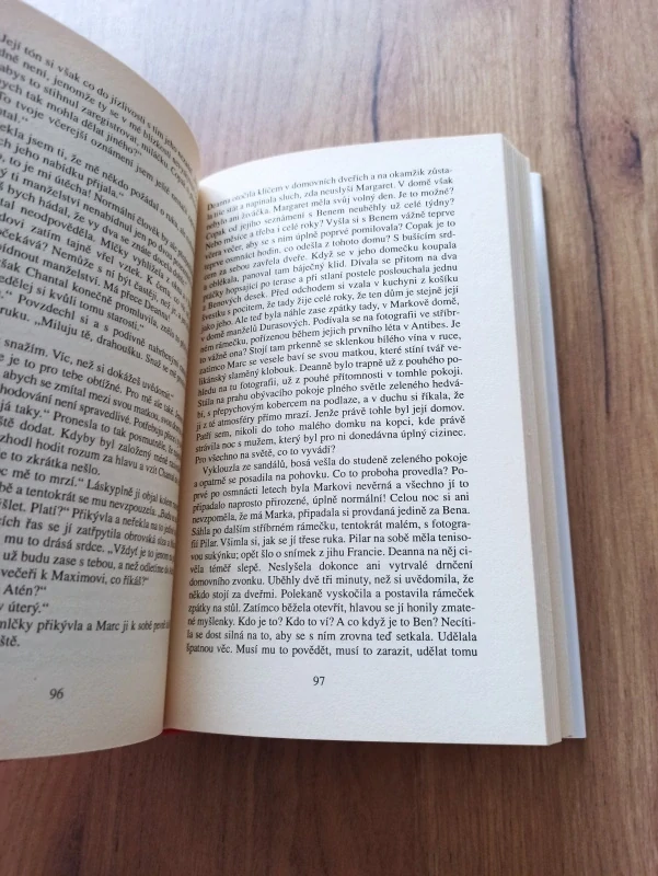 DANIELLE STEEL - Konec léta