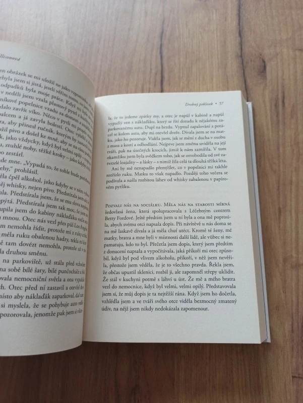 JAN ELLISON - Drobný poklesek