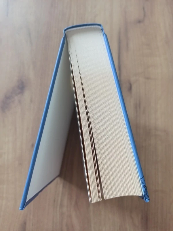 ROMAIN PUÉRTOLAS - Léto bez Facebooku