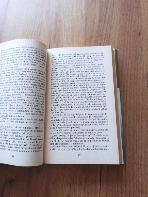 DANIELLE STEEL - Duch