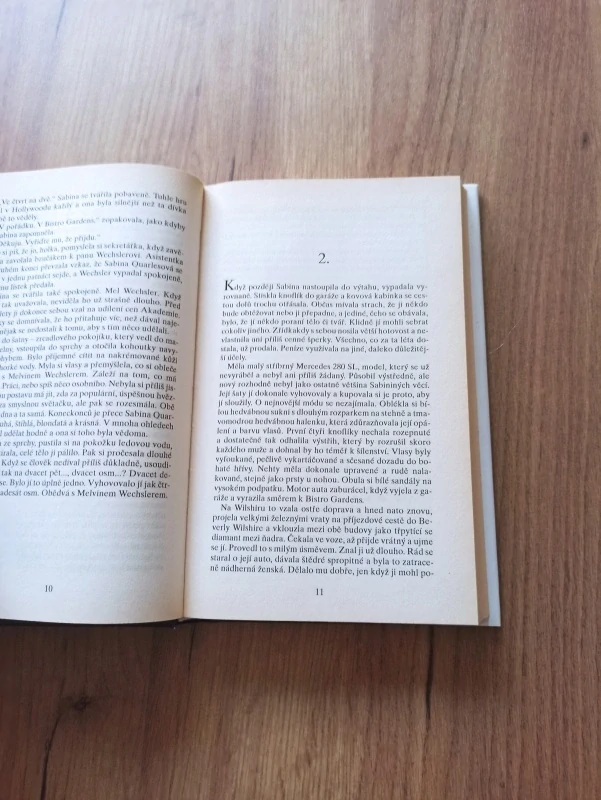 DANIELLE STEEL - Tajemství