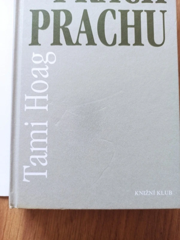 TAMI HOAG - Prach prachu