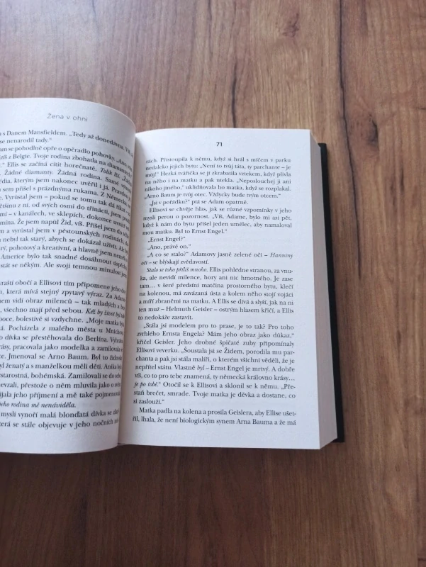 LISA BARR - Žena v ohni