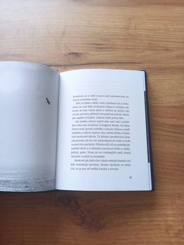 RICHARD BACH - Jonathan Livingston Racek