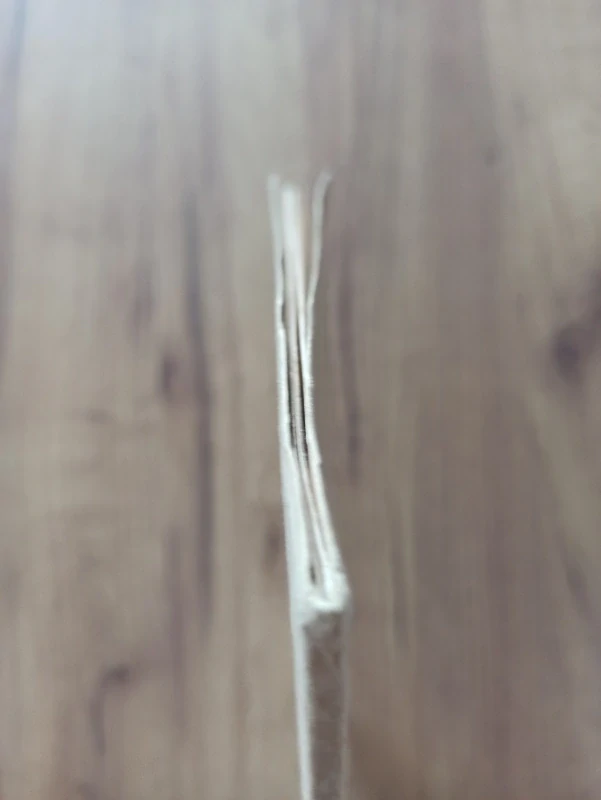 ALFRED DE VIGNY - Smrt vlka