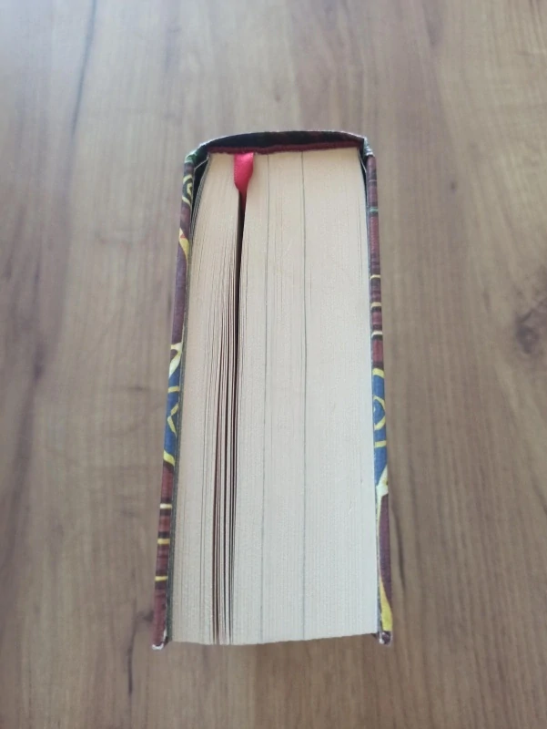 SARAH WATERS - Platící hosté