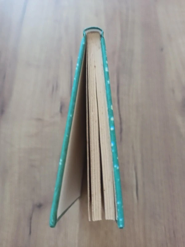 BETSY GINSBURGH - Delfín Flipper