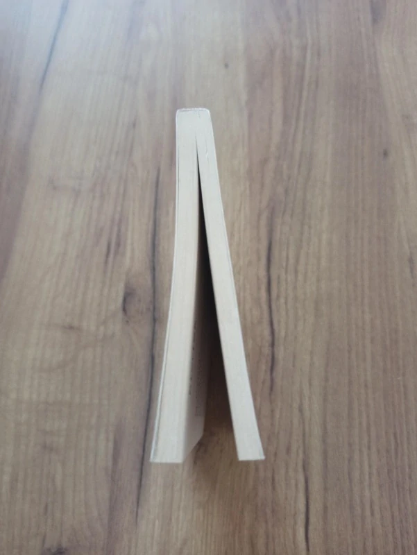 RADKA DENEMARKOVÁ - MY 2