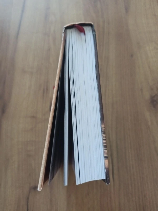 SARAH WATERS - Náklonnost