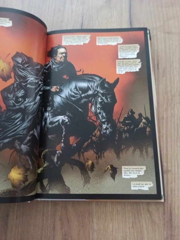 PETER DAVID, STEPHEN KING - Temná věž 2: Dlouhá cesta domů