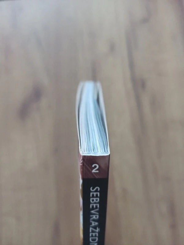 ADAM GLASS, DAN ABNETT, ANDY LANNING - Sebevražedný oddíl 2. - Vzestup Baziliška