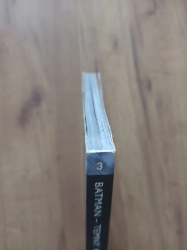 GREGG HURWITZ - Batman: Temný rytíř 3. - Šílený