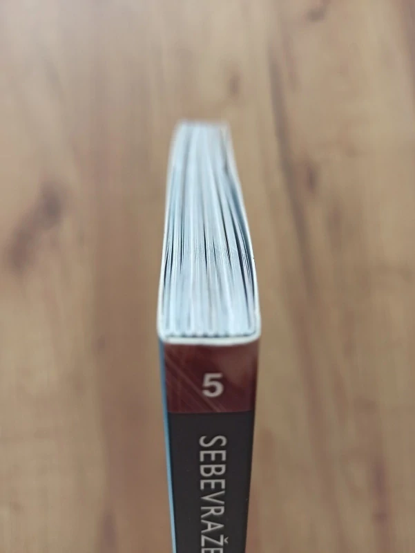 MATT KINDT, JIM ZUB, SEAN RYAN - Sebevražedný oddíl 5. - Domácí vězení