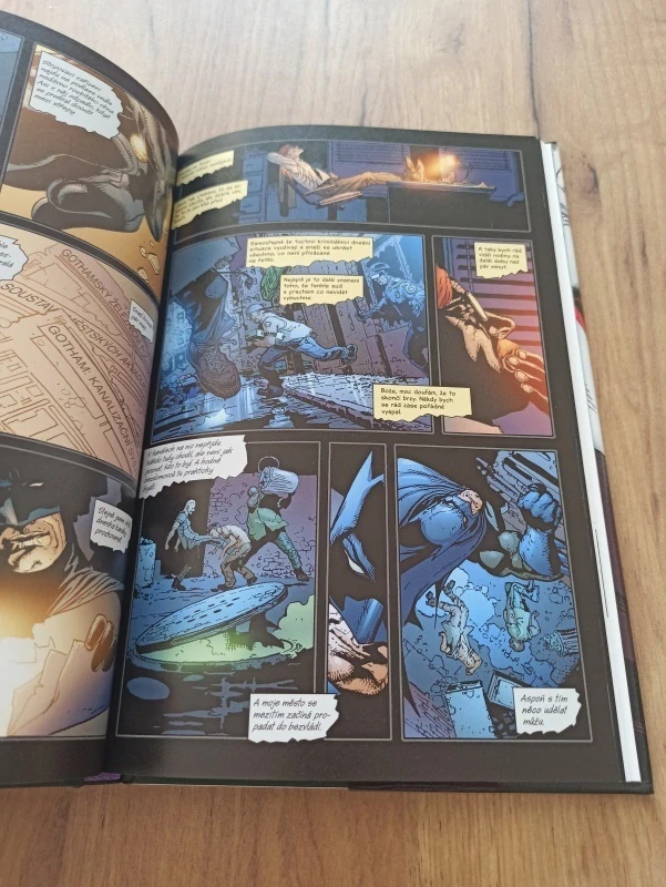 ALAN MOORE, ED BRUBAKER, BRIAN BOLLAND - Batman: Kameňák a další příběhy