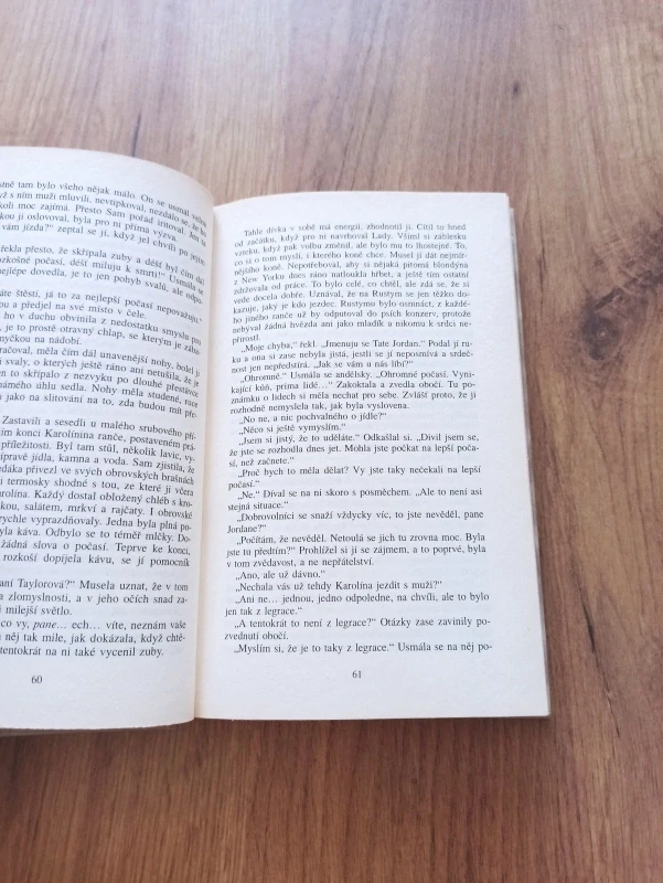 DANIELLE STEEL - Palomino