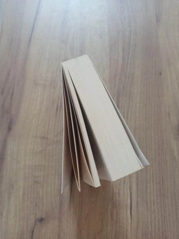 STEPHEN KING - Prokletí Salemu