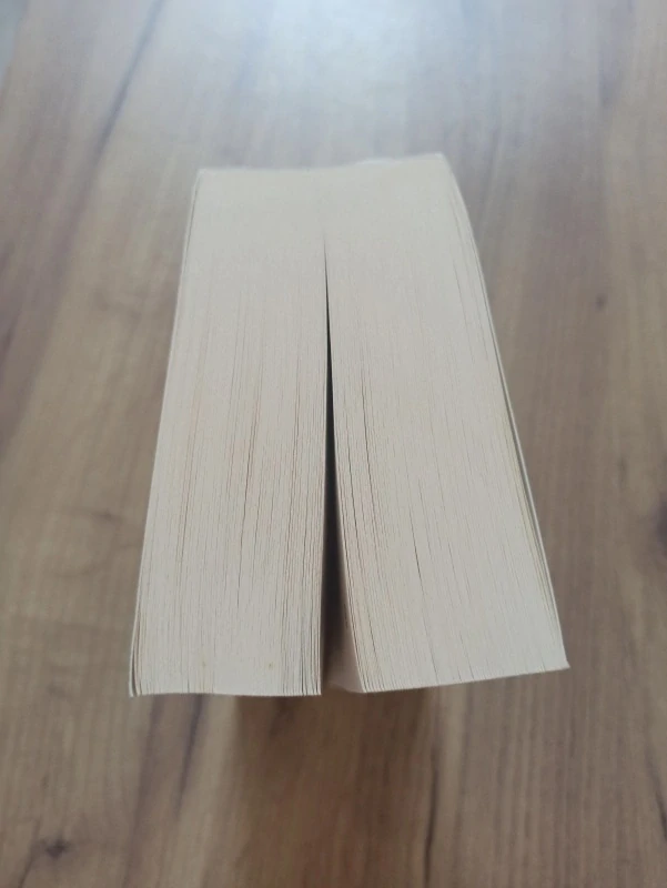 STEPHEN KING - Pod kupolí