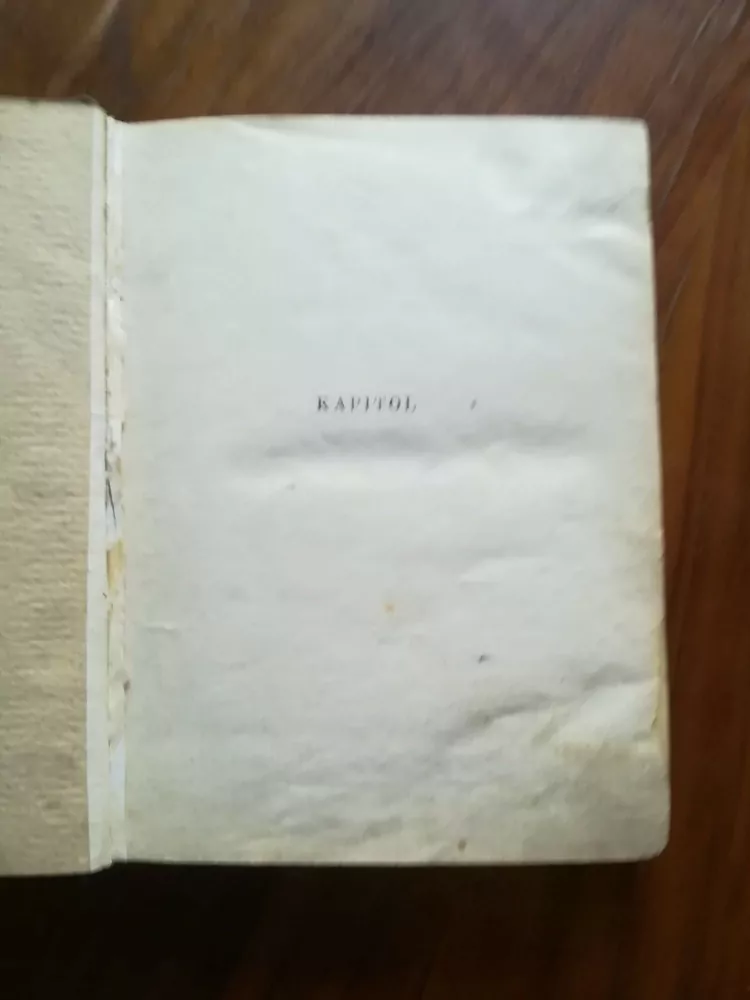 HARVEY FERGUSSON - KAPITOL: Román z washingtonského života