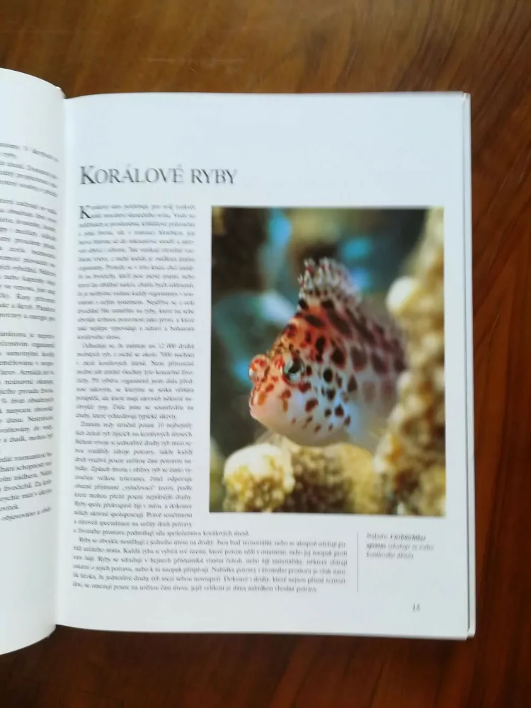 ANNEMARIE KÖHLER, DANJA KÖHLEROVY - Za tajemstvím oceánů: potápění na korálových útesech