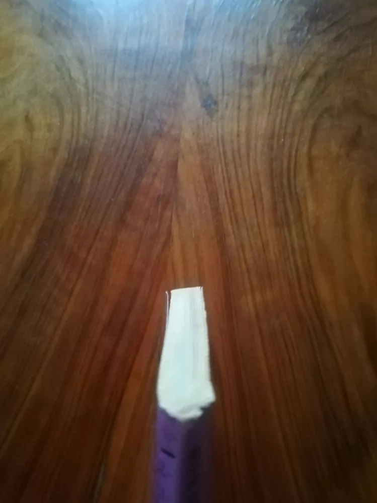 ANTONÍN WINTER - Herodesův stín