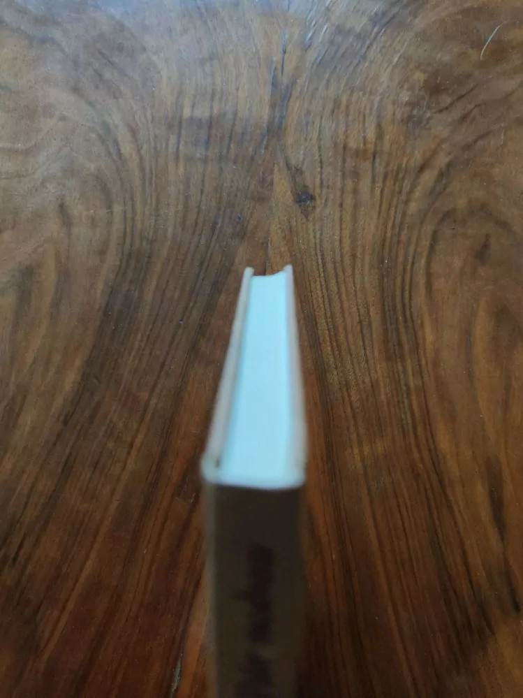 MONICA DICKENS - Pár nohou