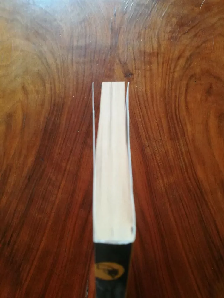 LAURA GRIMALDI - Vina