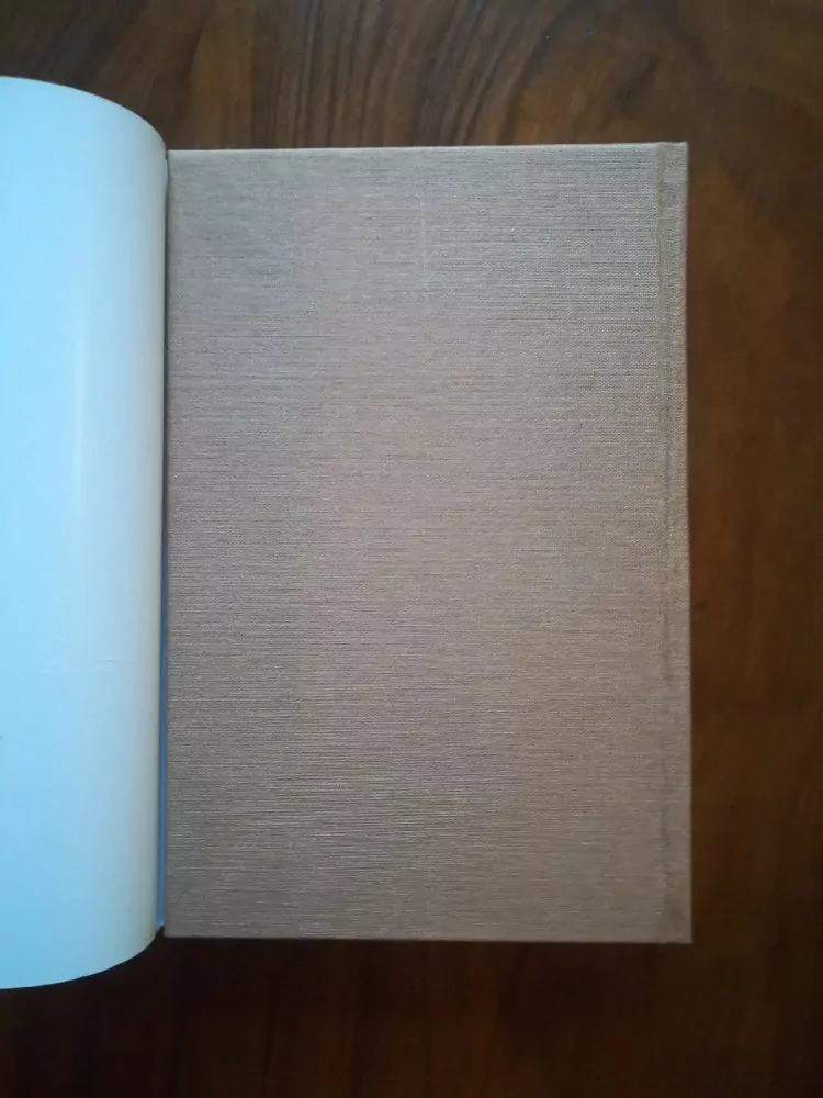 PATRICK WHITE - Poušť Johanna Vosse