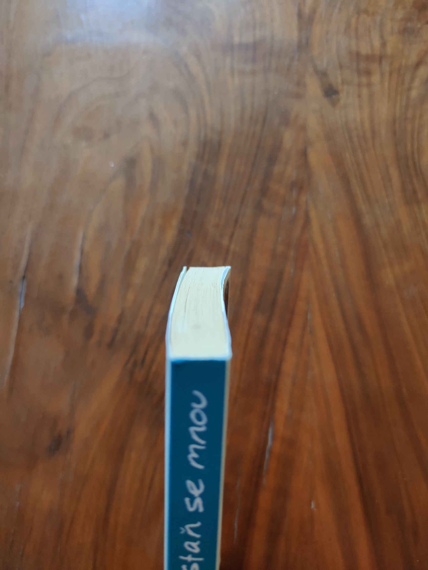 GAYLE FORMAN - Zůstaň se mnou