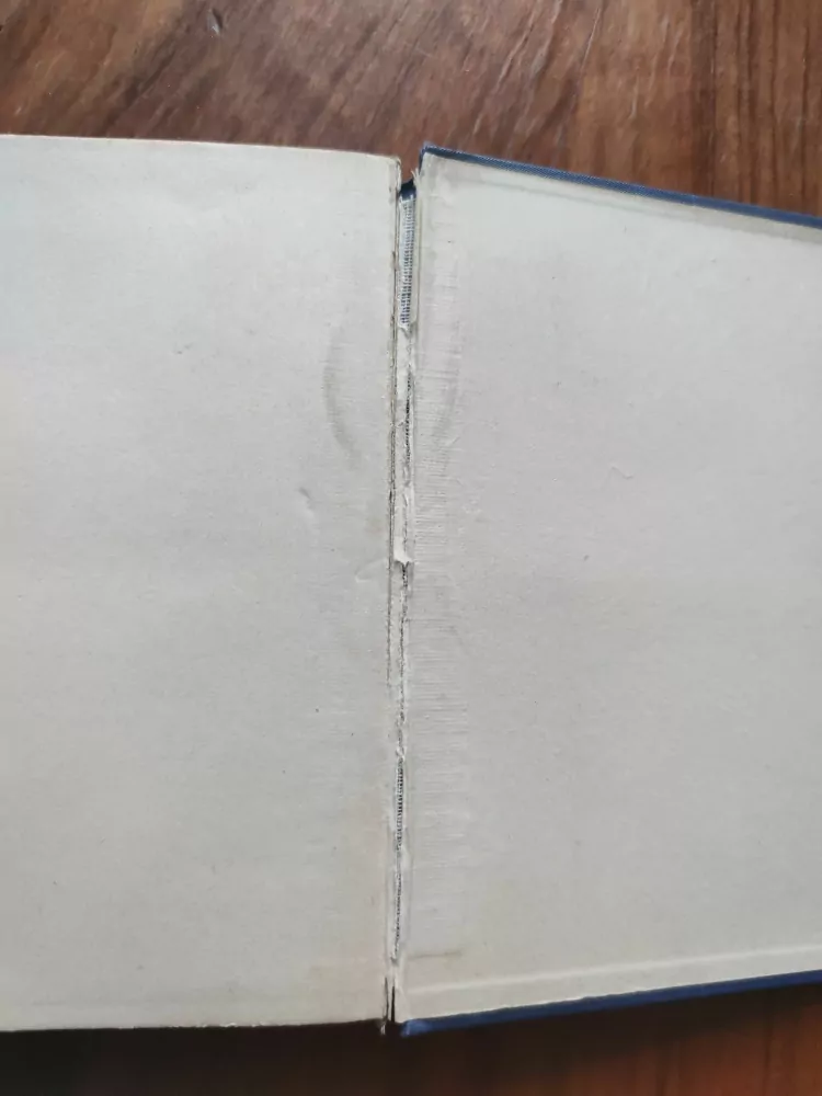 LADISLAV VLADYKA -  Mnohoženství