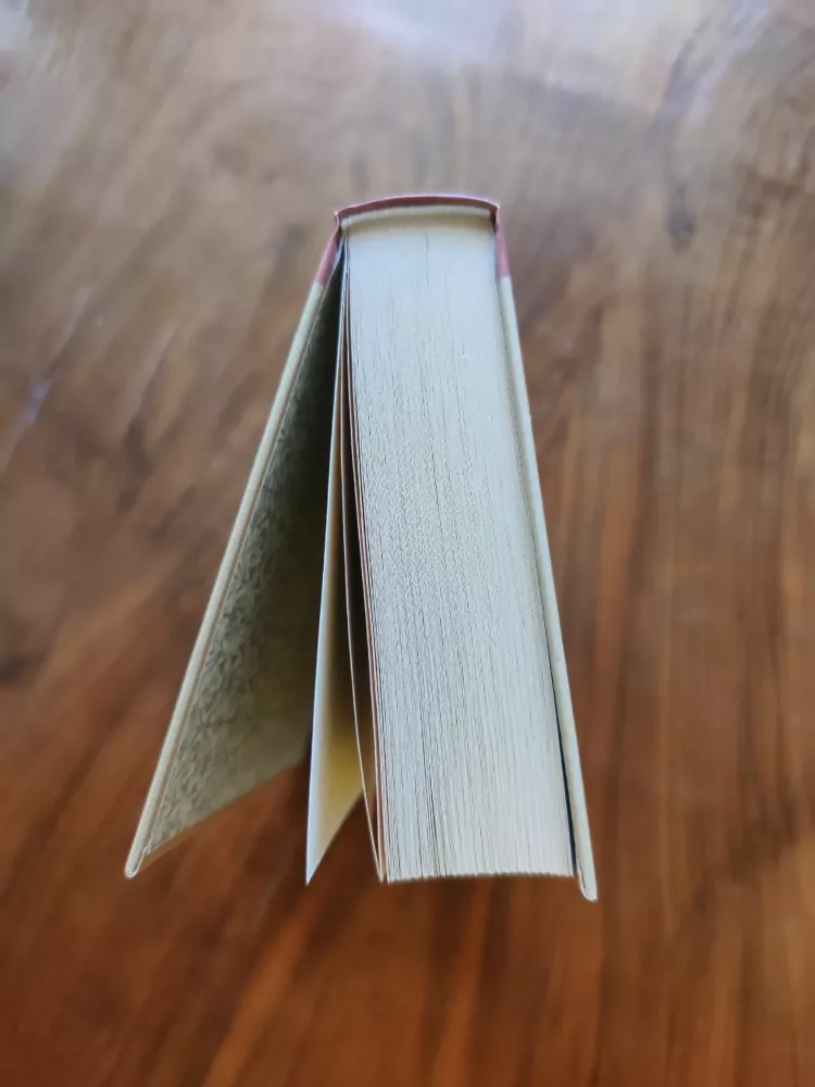 LEMONY SNICKET - Řada nešťastných příhod: 12. - Předposlední utkání